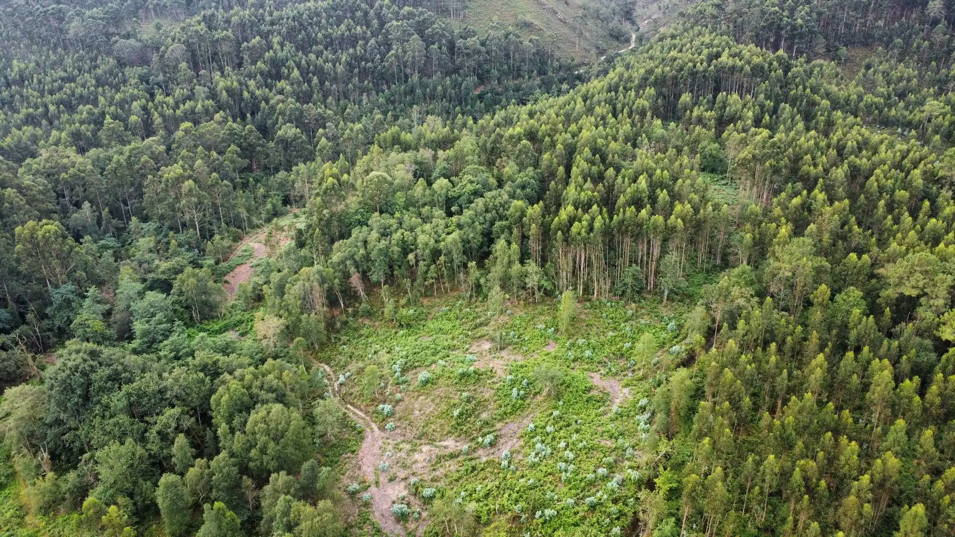 Terreno rustico in vendita a Pría - Nueva-Hontoria - Naves, imagen 16