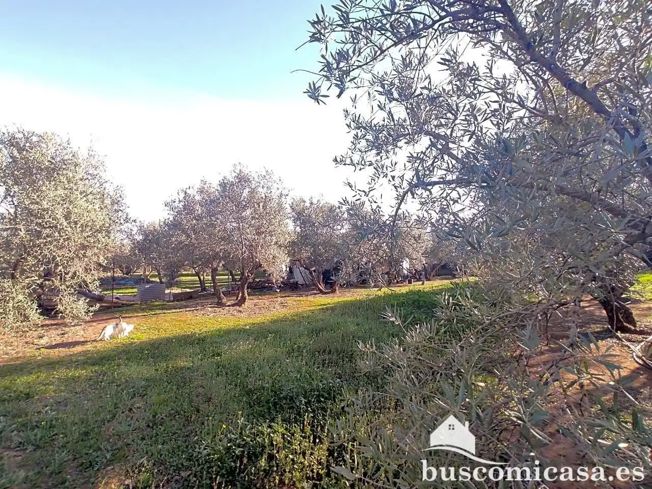 Casa amb jardí en venda a San Roque - La Cruz - La Rozuela, imagen 30