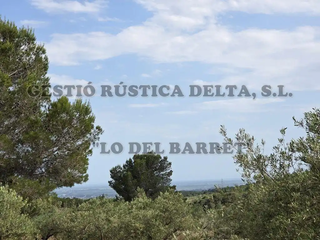 Finca rústica en venda en El Perelló