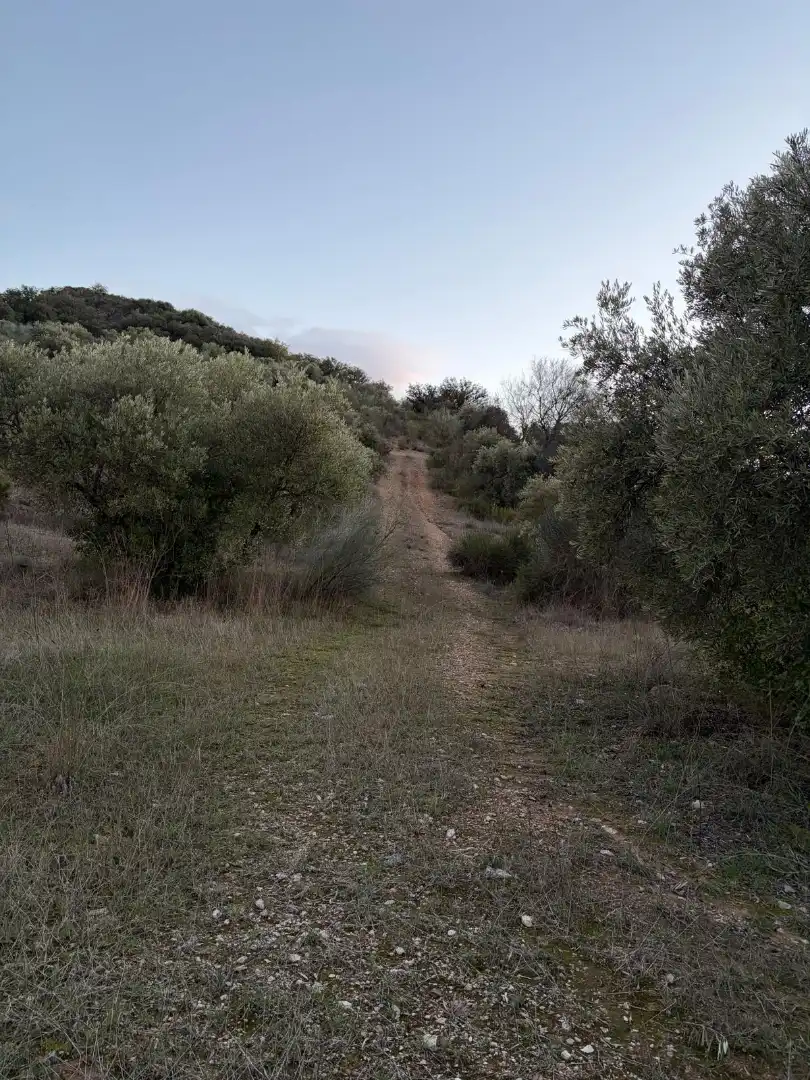 Terreny rústic en venda a Priego de Córdoba, imagen 5