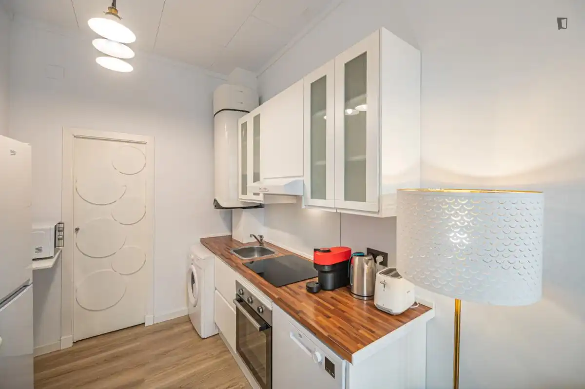 Cuina de Apartament de lloguer en Málaga amb Aire condicionat, Moblat i Forn