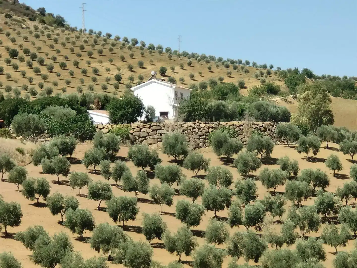 Vista exterior de Finca rústica en venda en Valle de Abdalajís amb Aire condicionat i Piscina