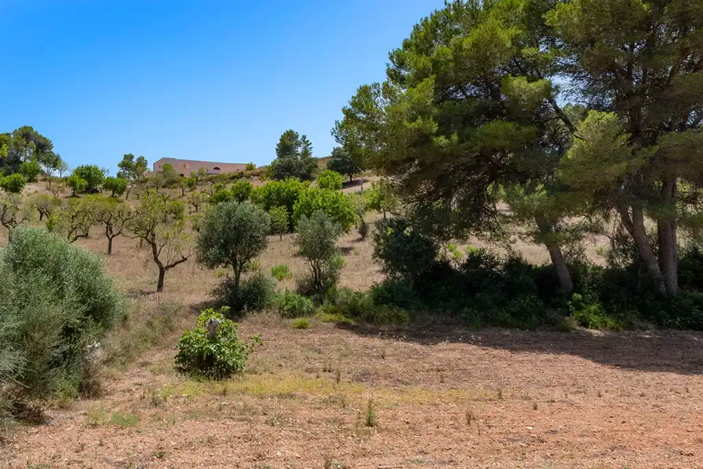 Finca rústica en venda en Felanitx amb Jardí privat i Sauna