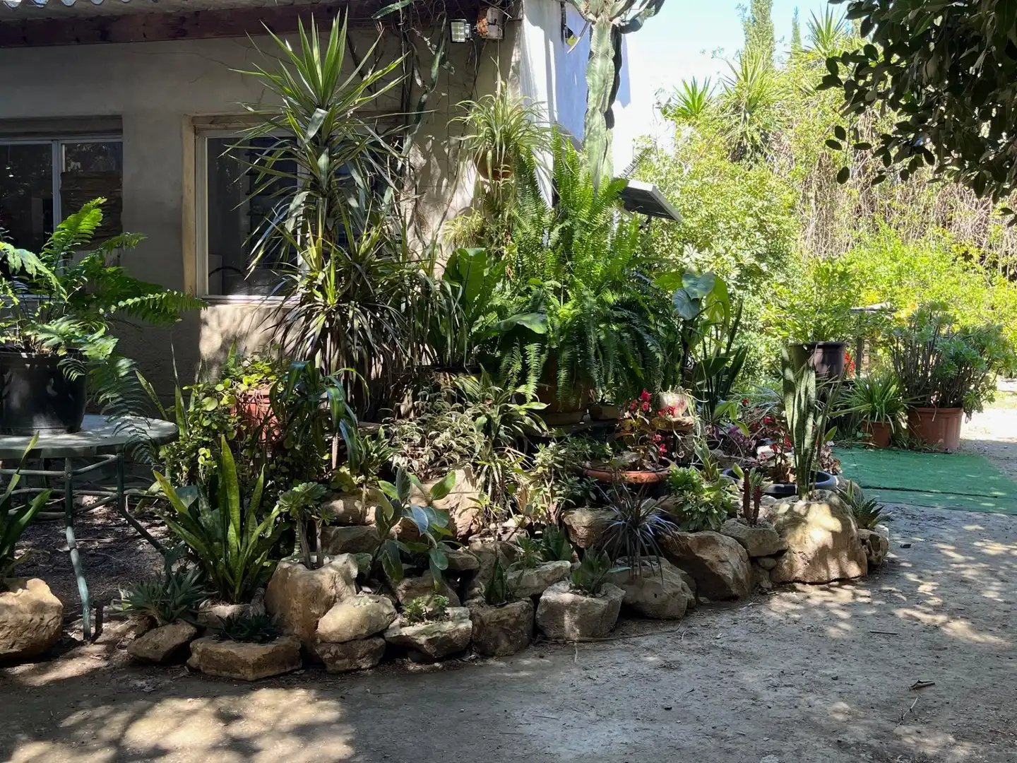 Jardín de Finca rústica de alquiler en Catral con Jardín privado