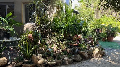 Foto 4 de Finca rústica de lloguer a Catral, Alicante