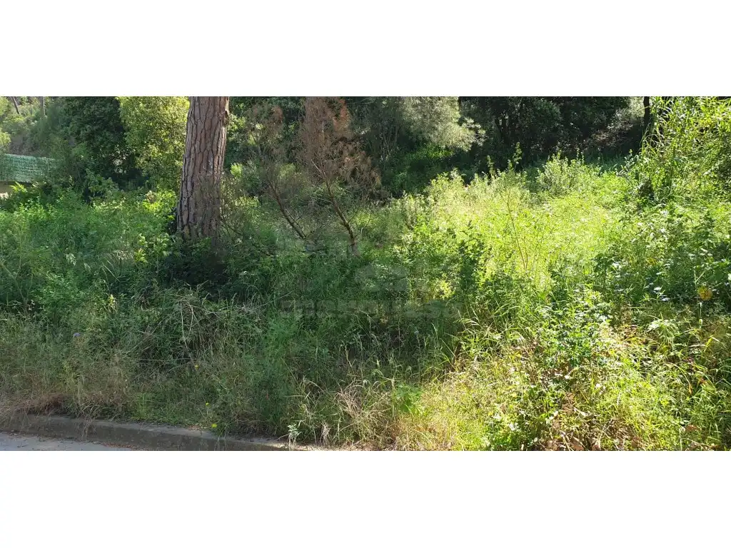 Terrain résidentiel à vendre à Platja de Pals, imagen 7