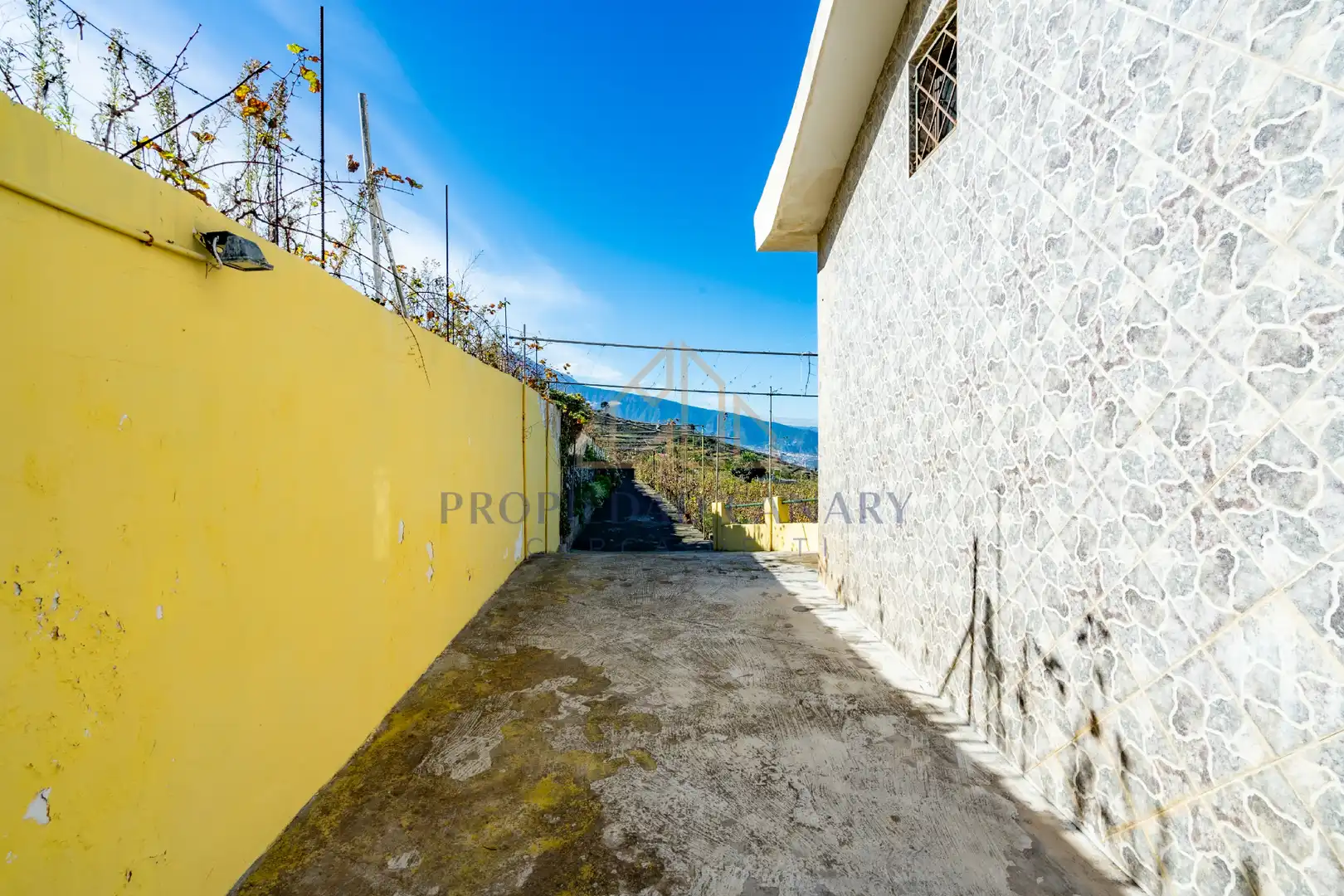 Vista exterior de Finca rústica en venda en Santa Úrsula amb Terrassa