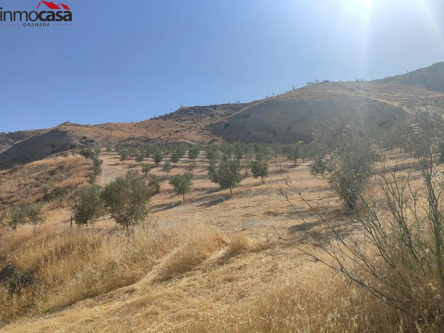 Rural land for sale in Santa Cruz del Comercio, imagen 19