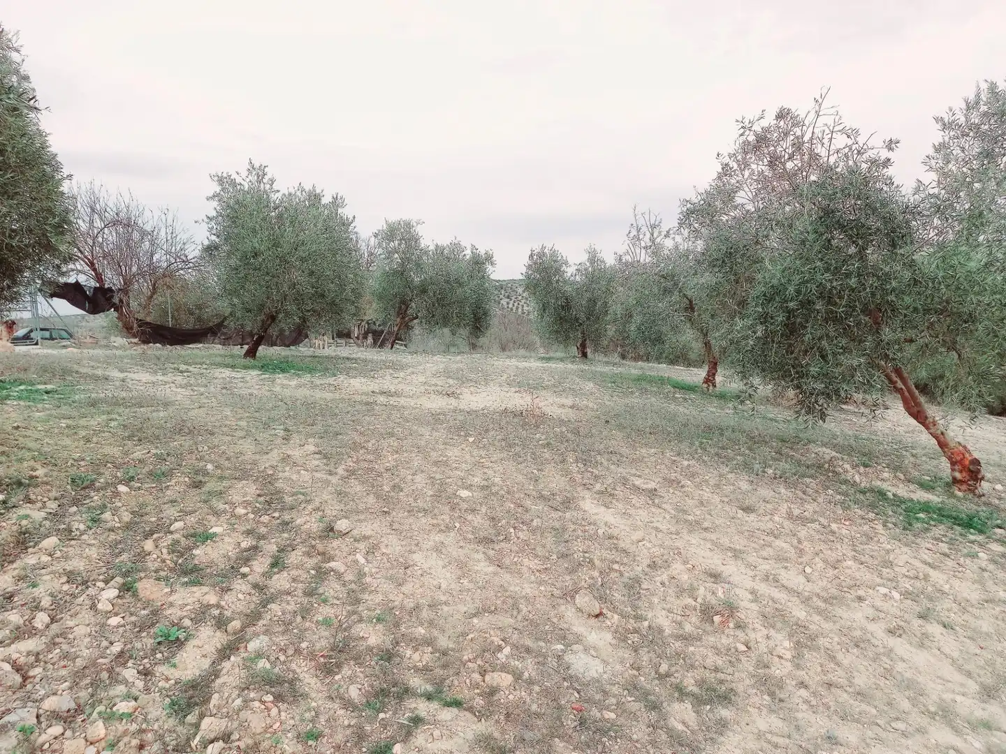 Terreni e lotti in vendita a Alhama de Granada, imagen 4