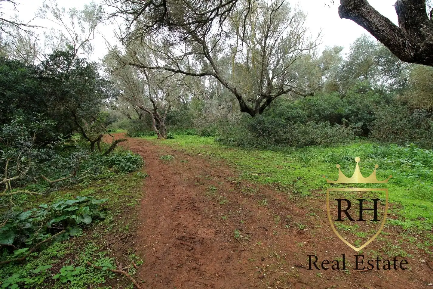 Lands and plots for sale in POLIGONO 49 PARCELA 3, imagen 5
