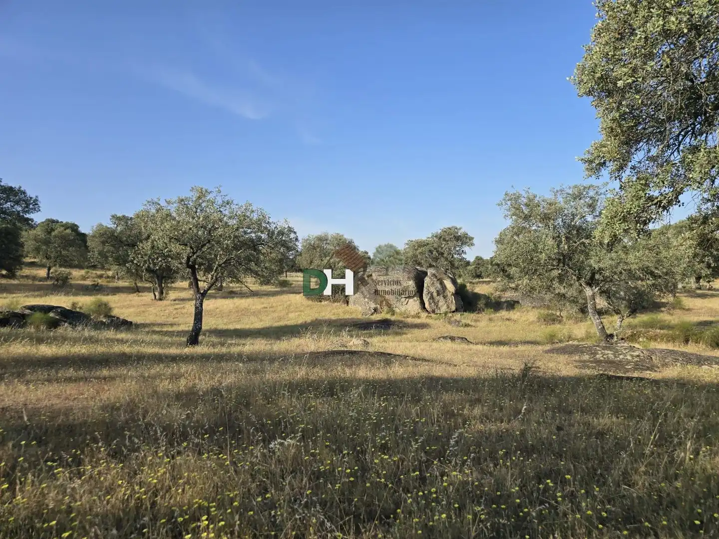 Terreni e lotti in vendita a San Roque - Ronda Norte, imagen 5