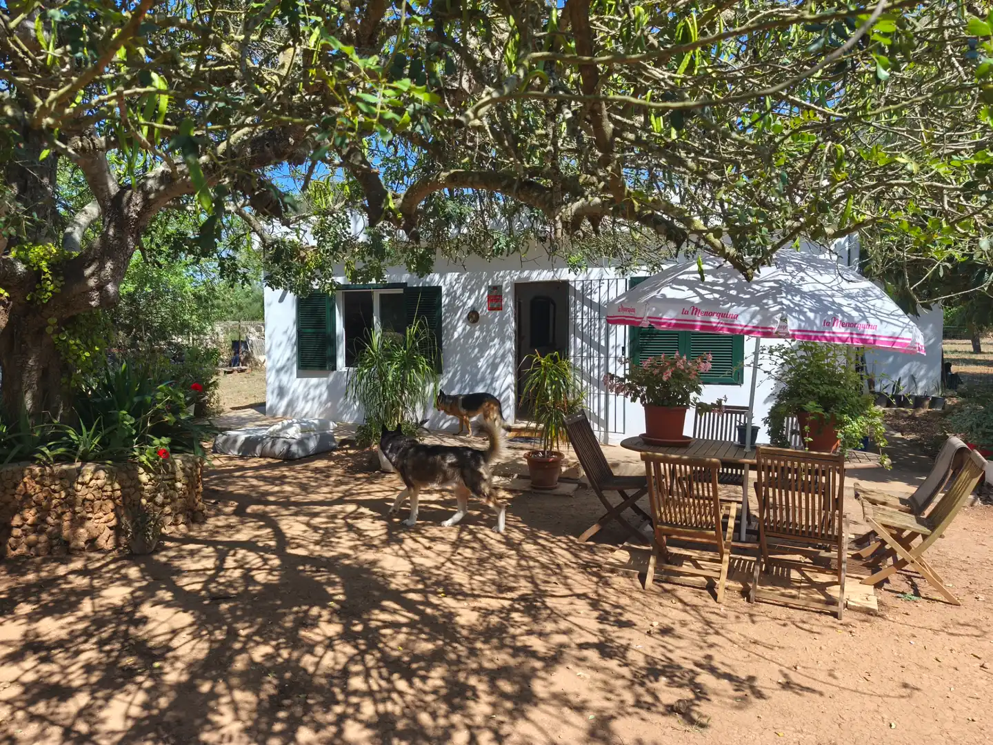 Villa mit Garten zum Verkauf in Algaida, imagen 3