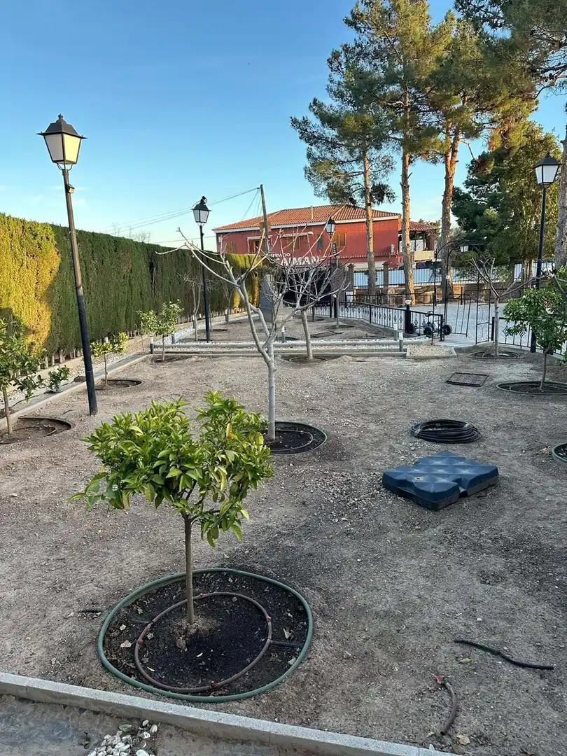 Exterior view of Houses for sale in San Vicente del Raspeig / Sant Vicent del Raspeig