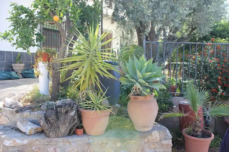 Country house for sale in Lecrín, imagen 29