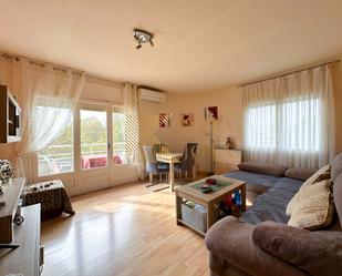 Living room of Flat for sale in Roses  with Heating, Parquet flooring and Furnished