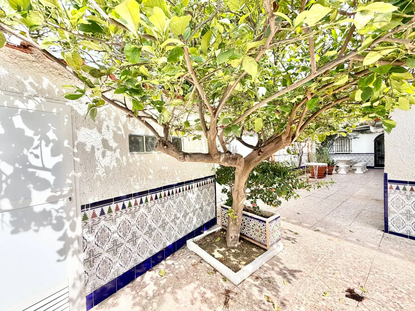 Exterior view of Houses for sale in El Campello  with Swimming Pool