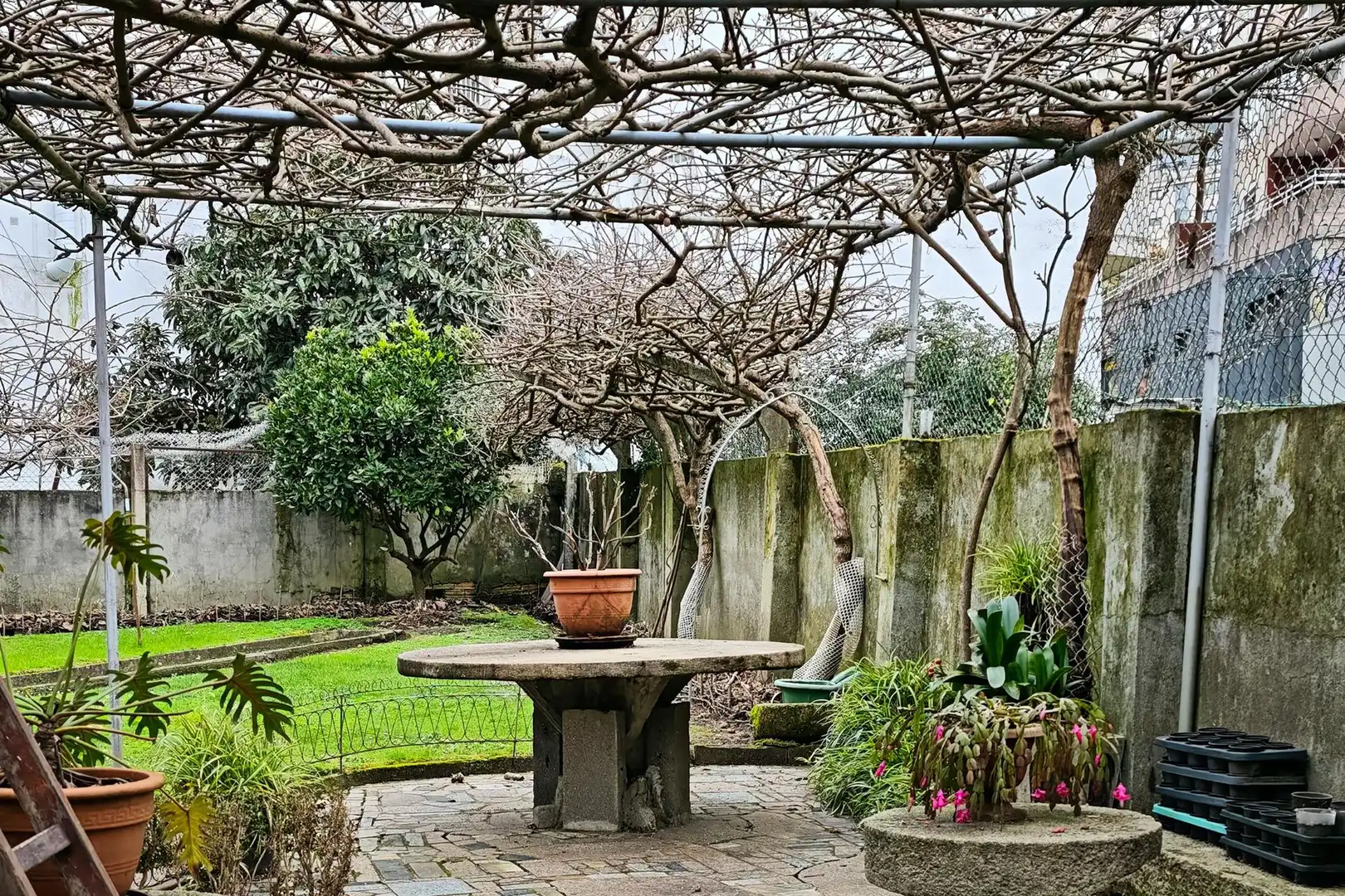 Jardín de Casa o chalet en venta en Vigo  con Jardín privado y Balcón