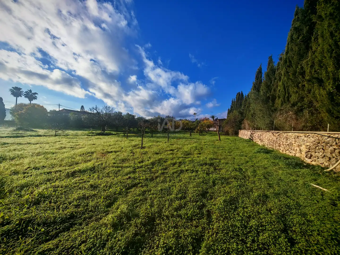 Houses for sale in  Palma de Mallorca