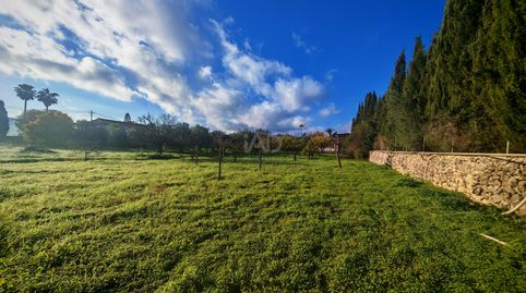 Photo 4 of Houses for sale in Establiments, Palma de Mallorca