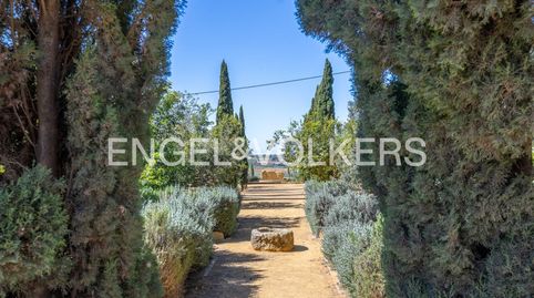 Foto 2 de Finca rústica en venta en Carmona, Sevilla