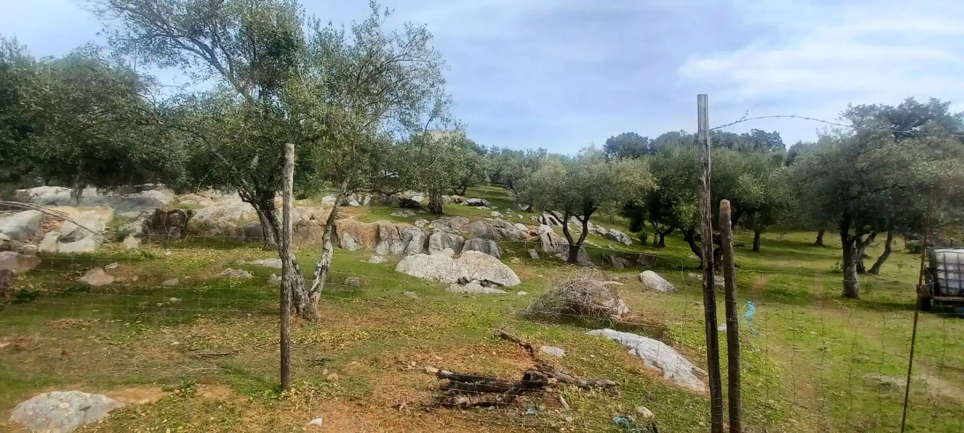 Terreni e lotti in vendita a Constantina, imagen 40