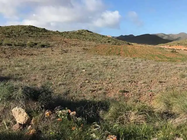 Terrain rustique à vendre à Níjar pueblo, imagen 2
