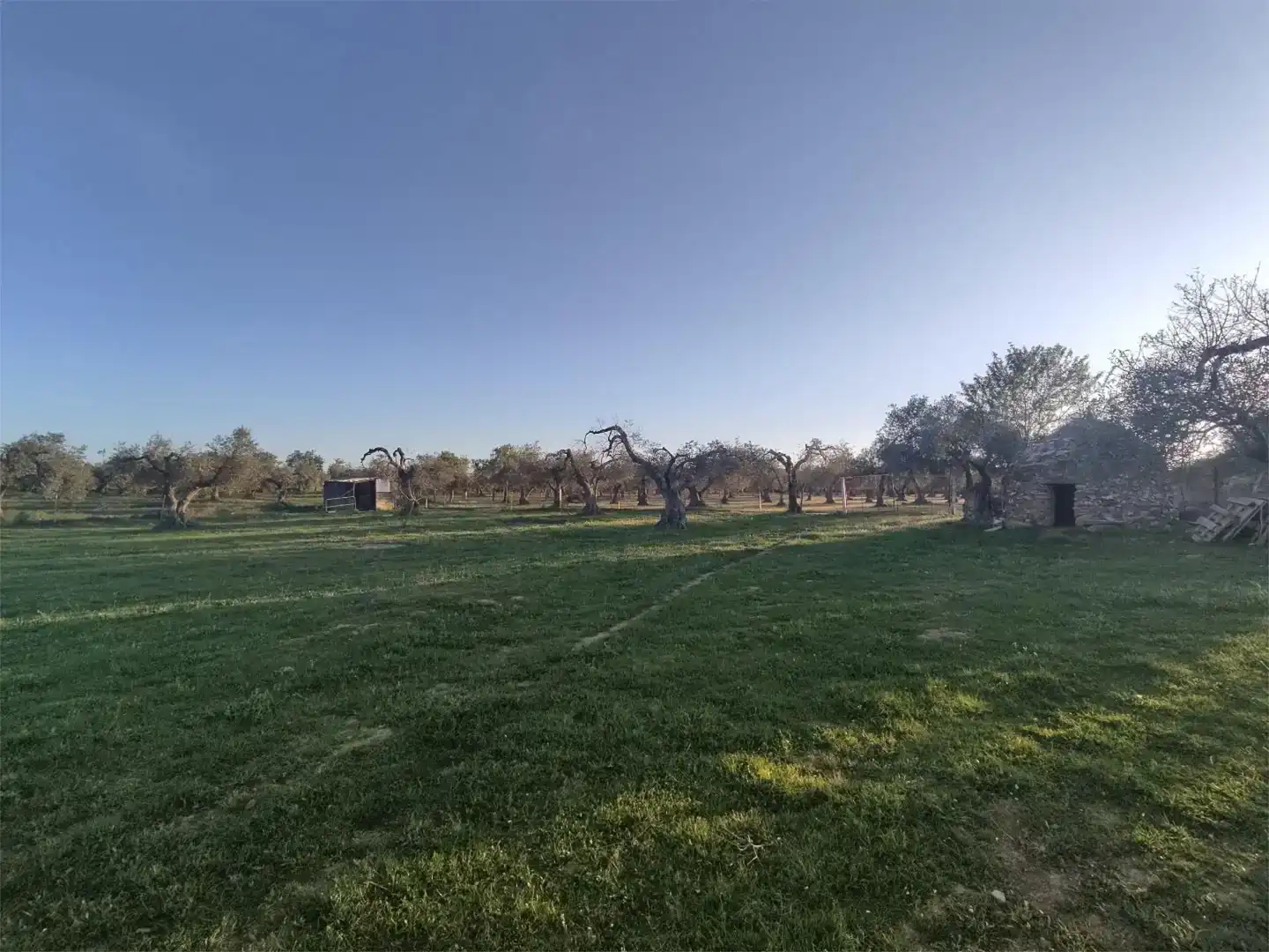 Terreno en venta en Alconera