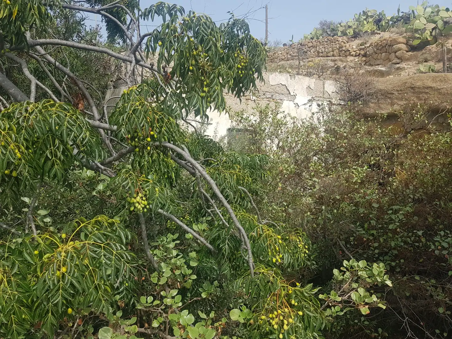 Rural land for sale in Calle Tambora de Abajo 44, imagen 9