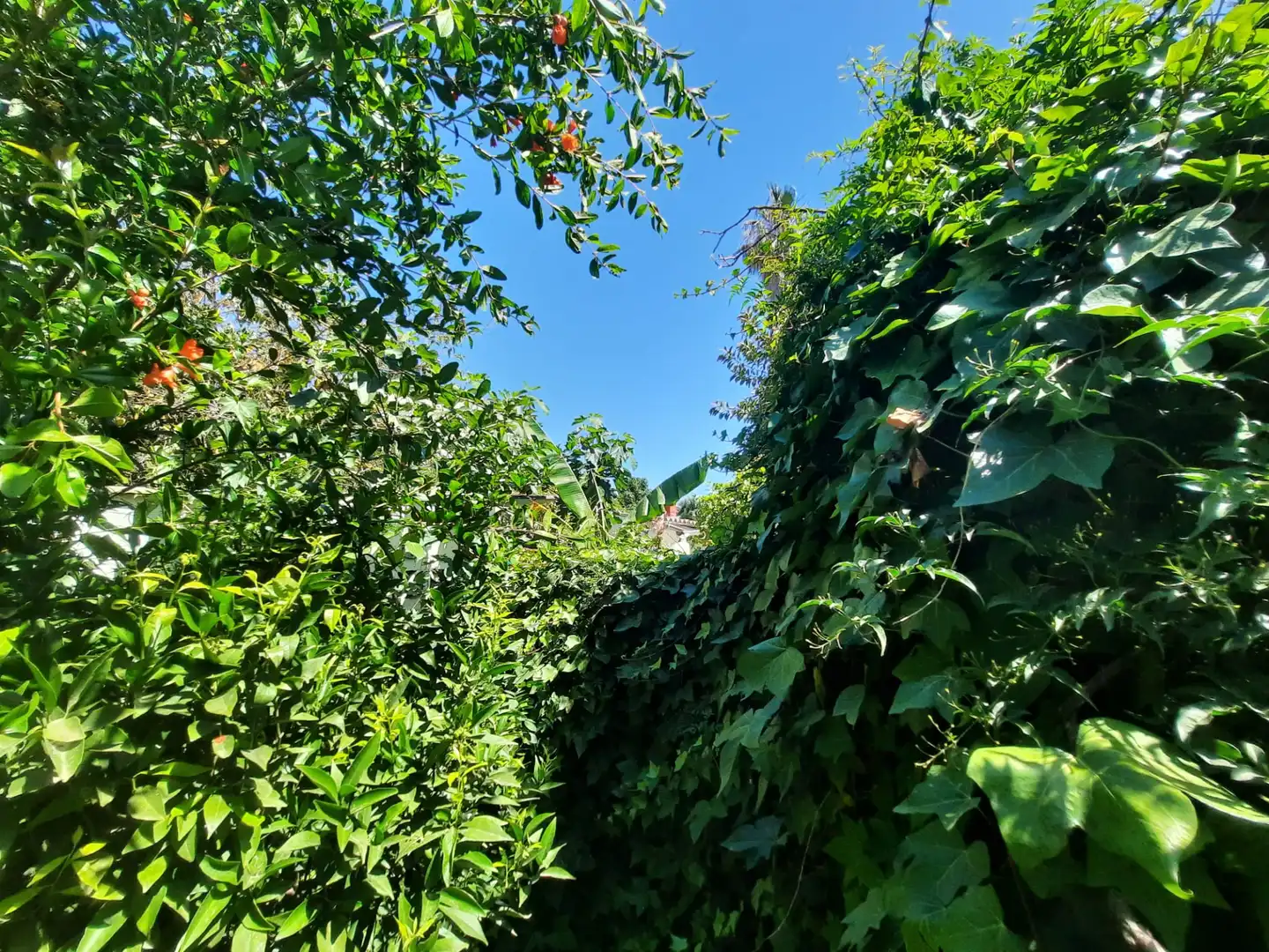 Garden of Residential for sale in Torremolinos