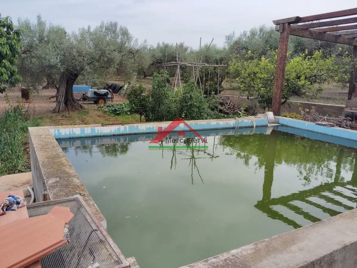 Swimming pool of Country homes for sale in Vinaròs  with Terrace