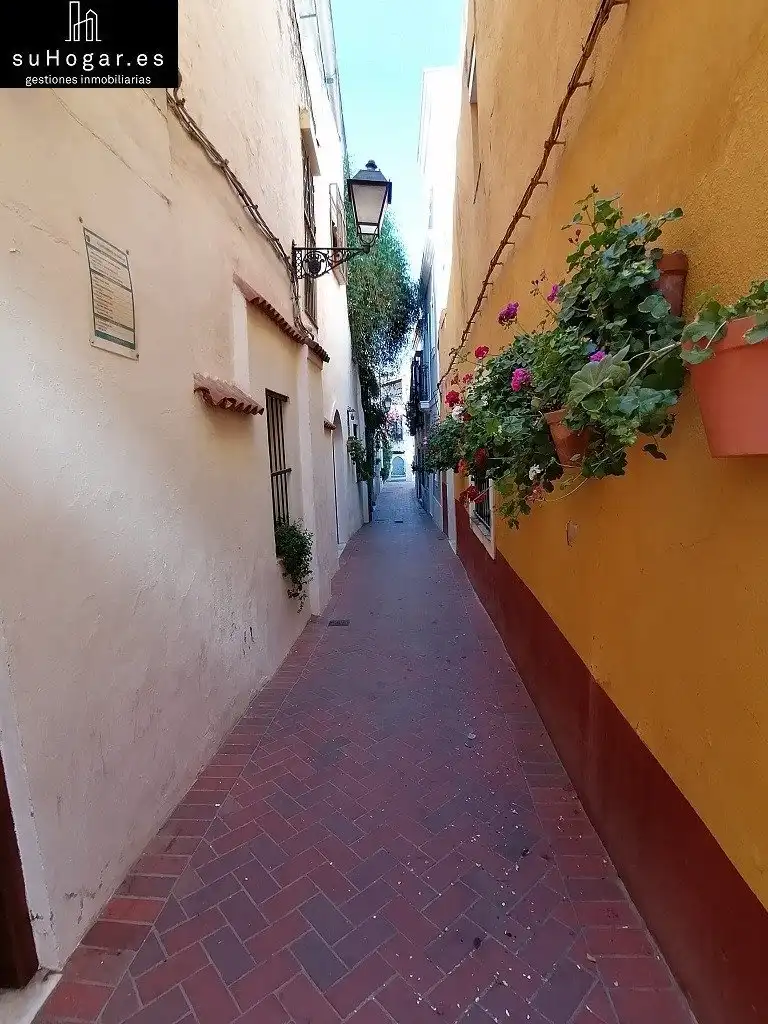 Wohnungen zur Miete in Casco Antiguo