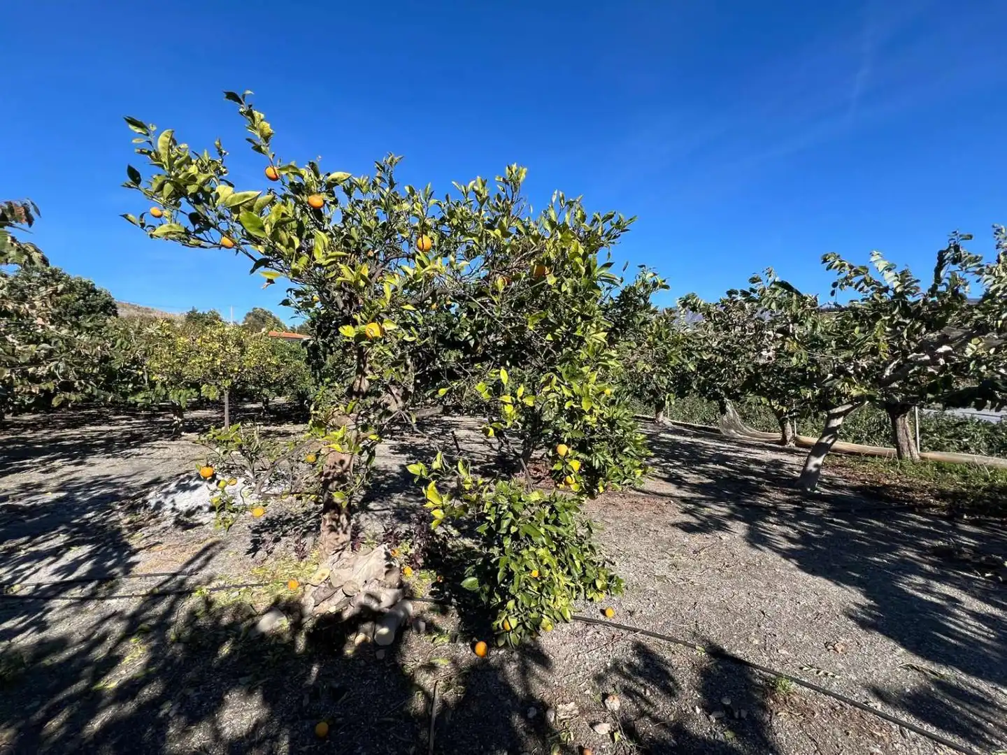 Terrenos y solares en venta en Motril  ciudad, imagen 3