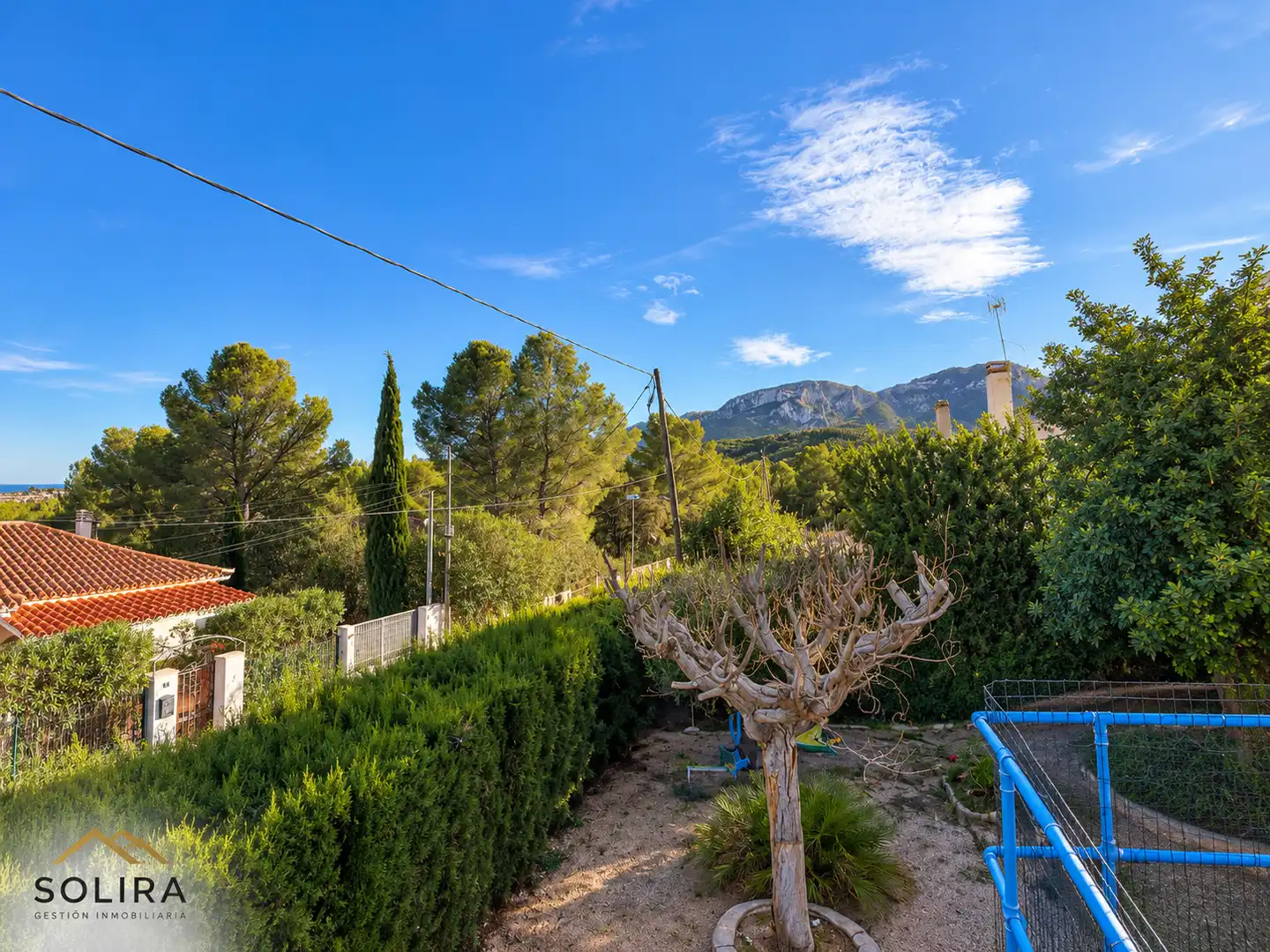 Detached house with pool for sale in Carrer de la Violeta 4, imagen 37