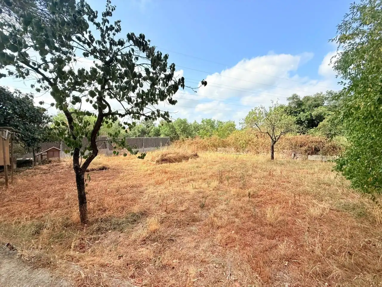 Casa o xalet en venda en Riells i Viabrea amb Jardí privat i Terrassa
