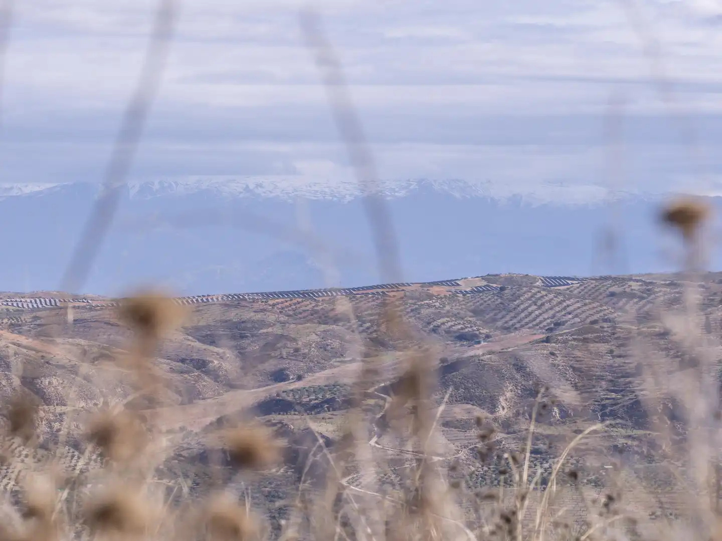 Außenansicht von Grundstücke zum Verkauf in Alhama de Granada