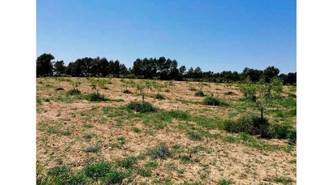 Foto 4 de Residencial en venta en Finca Rustica en Pje Dehesa Jodar las Sierras Pg 4, 41, Almansa, Albacete