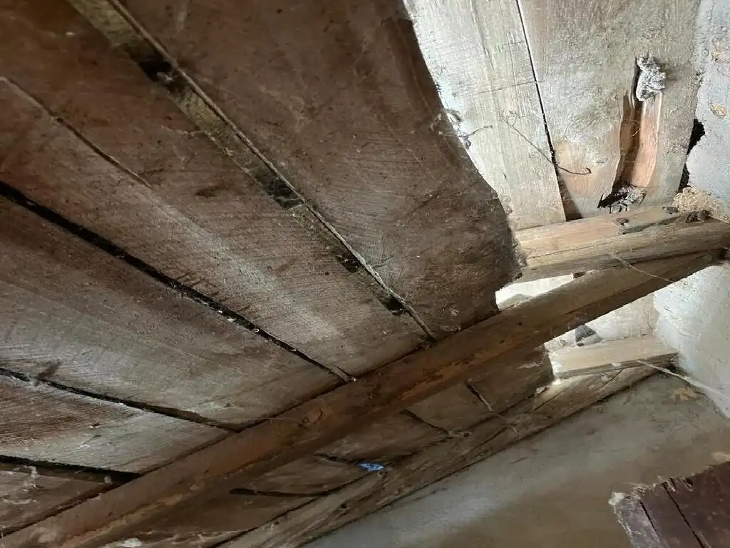 Casa o chalet en venta en Villadangos del Páramo con Calefacción y Trastero
