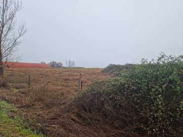 Wohnbaugrundstück zum Verkauf in Carcaboso