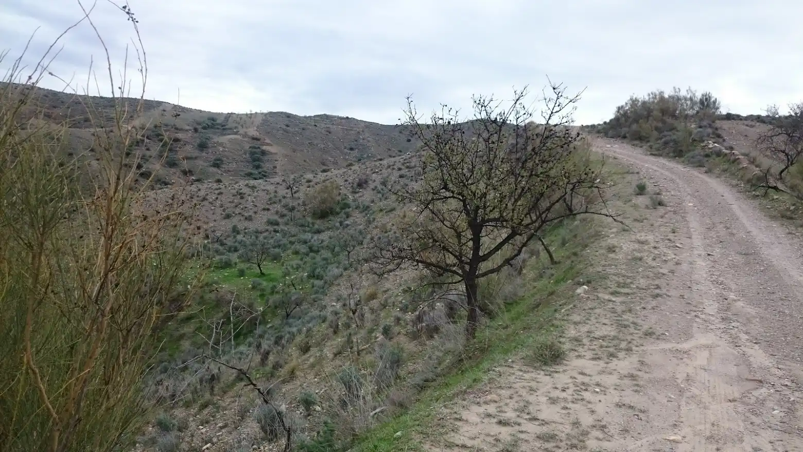 Residencial en venda en Cantoria
