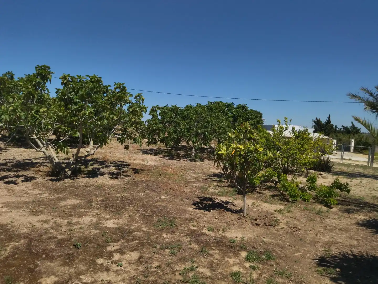 Casa rustica con giardino in vendita a Vejer, imagen 33