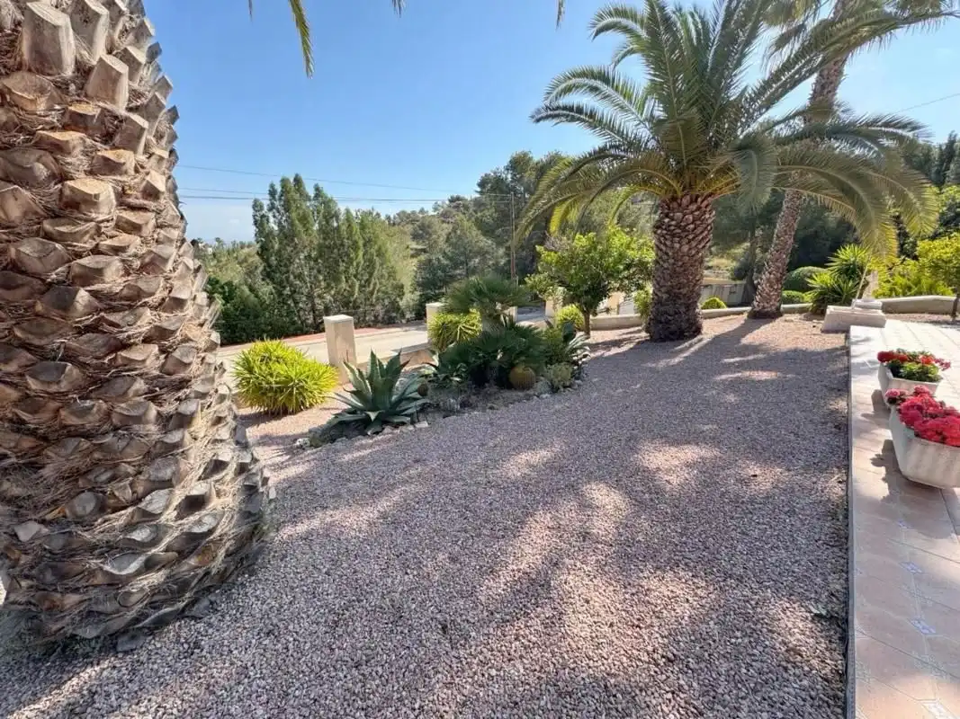 Vista exterior de Casa o chalet en venta en Almoradí, Alicante