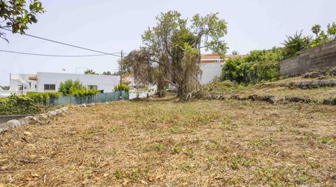 Foto 4 de Casa o chalet en venta en La Vega - El Amparo - Cueva del Viento, Icod de los Vinos