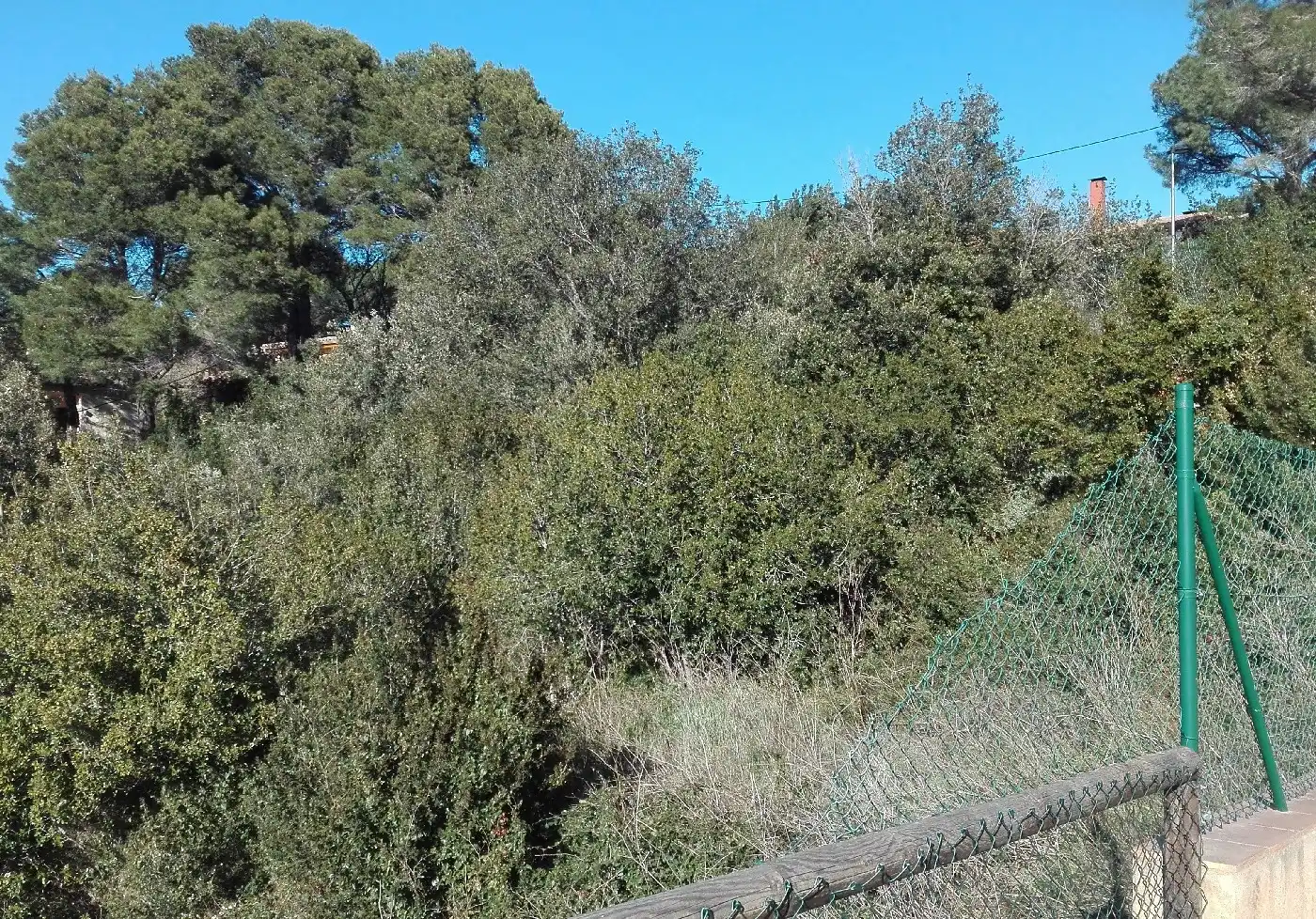Terreny residencial en venda a Begur pueblo, imagen 3