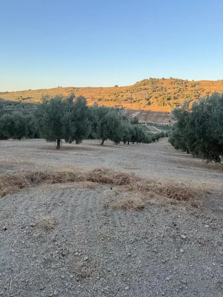 Terreni e lotti in vendita a Calle Alhamar, imagen 11