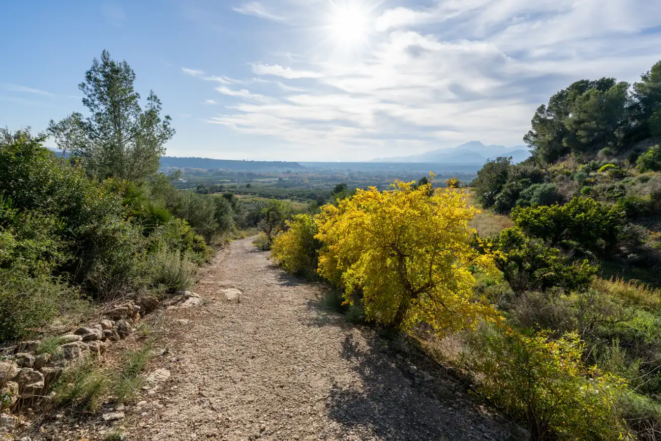 Terrain rustique à vendre à T-301 57, imagen 12