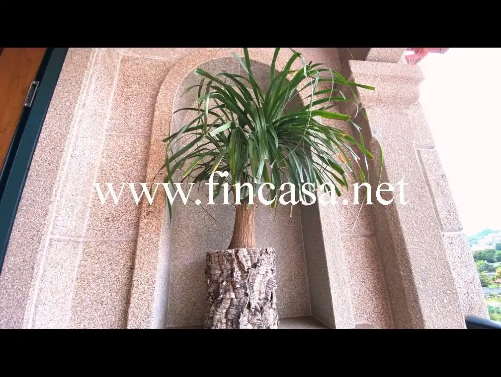 Casa o chalet en venta en Vigo  con Jardín privado, Parquet y Terraza