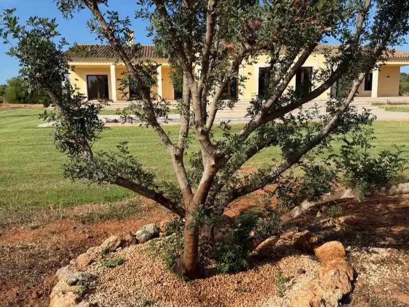 Jardín de Casa o chalet en venta en Llucmajor