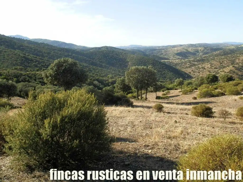 Rustikales Grundstück zum Verkauf in Avenida Ciudad Real Pol N 7, imagen 9