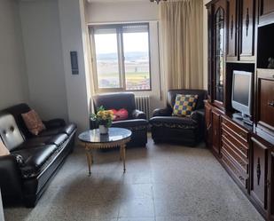 Living room of Flat for sale in Huerta de Rey