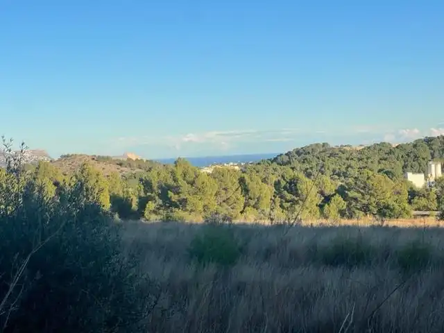 Grundstücke und Bauplätze zum Verkauf in La Alberca